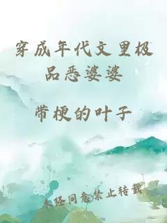 穿成年代文里极品恶婆婆